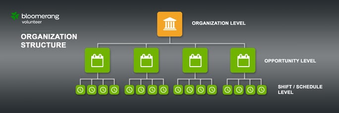 OrganizationStructure1