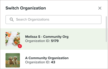 Switch Organization window with multiple organizations to choose from.